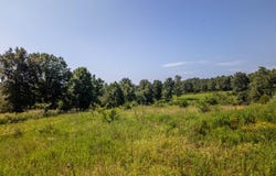 0 England Cemetery Trail, Mammoth Spring, AR 72554