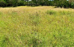 810 Spanish Oak Dr, Kerrville, TX 78028