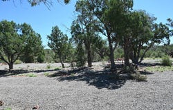 5556 W Refuge Road, Seligman, AZ 86337