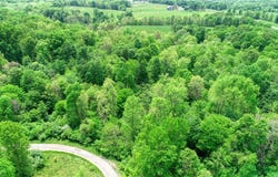 63590 Wintergreen Road, Lore City, OH 43755