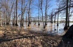 11720 Hideaway Rd., Mer Rouge, LA 71229