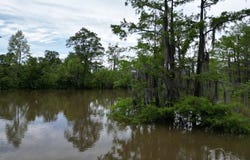 2610 Hwy 4, Jay, FL 32565