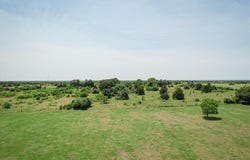 Tbd FM 642, Purdon, TX 76679