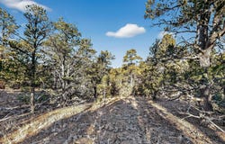 La Posta Way Tract 7-2, Santa Fe, NM 87505