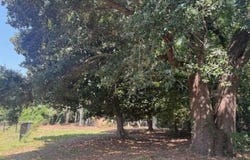 Camelia Drive, Pass Christian, MS 39571