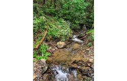 338 Canter Court, Ellijay, GA 30540