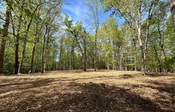 12636 MILL DAM DRIVE, CLIFTON, VA 20124