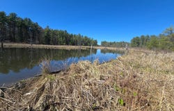 2WP County Rd 36, Norwich, NY 13815