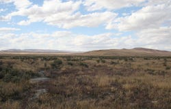 40 Acres N., Crescent Valley, NV 89821