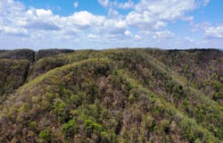 Mullens, WV 25882