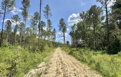 Highway 469, Florence, MS 39073
