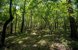 E 1070 Rd, Checotah, OK 74426