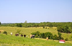 Tbd County Side Road, Iberia, MO 65486