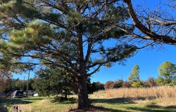 9805754 S. OakTree Rd, Wellston, OK 74881