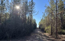 Straw Bridge Rd lot: 57, Jay, FL 32565