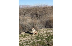W Highway 70 lot: 001A, Pima, AZ 85543