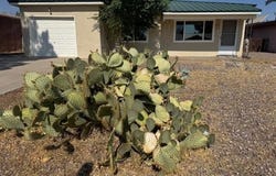 707 Caine Street, Socorro, NM 87801