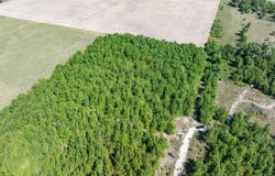 TBD SE HOMESTEAD WAY, Lee, FL 32059