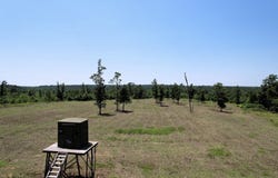 926 Summit Rd, Grovespring, MO 65662