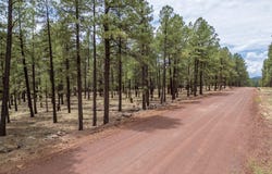 7454 E Robin Hood Road, Williams, AZ 86046