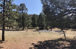 Lot 65 Patron Road, Rociada, NM 87742
