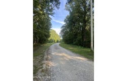 Running Deer, Crab Orchard, TN 37723