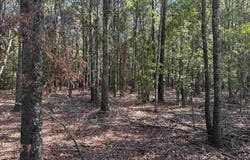 McRae, AR 72102