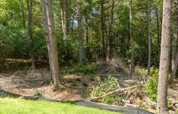 Lot 123 Rippling Waters Trail, Glenville, NC 28736