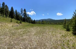 Lagger Gulch Road, Anaconda, MT 59711