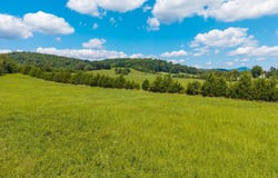 BUFFALO MINES RD, ROSELAND, VA 22967