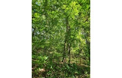 Old State Highway 28, Dunlap, TN 37327