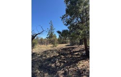 Tbd Doe Run, Los Ojos, NM 87520
