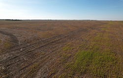 Avenue D, Little River, KS 67457
