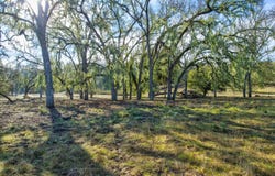 Lynch Canyon Road, Bradley, CA 93426