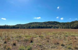 Peaceful Valley Road, Dover, AR 72837-0000