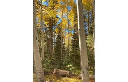 191 Aspen Trail, Cimarron, CO 81220