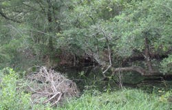 1588 Deer Hollow Road, Weimar, TX 78962