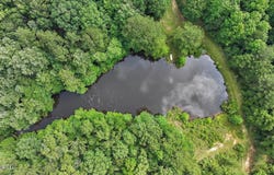 Brandon - Williamsburg Road, Mendenhall, MS 39114