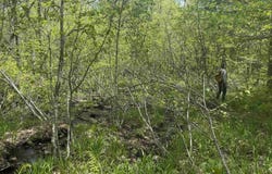 Potter Road, Lowell, VT 05847