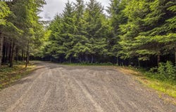 Grand Rdg RD, Toutle, WA 98649