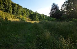 Tbd MAIN ST Lot 6, Sneedville, TN 37869