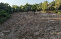 County Rd 3211, Pittsburg, TX 75686