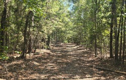 Wesley Chapel Road, Kennedy, AL 35574