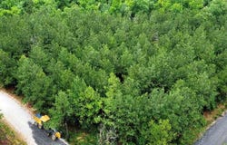 25 Mission Fig Trail, Broken Bow, OK 74728
