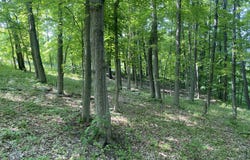0 County Route 8, Gallatin, NY 12567