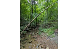 0 Coal Creek Road, Crofton, KY 42217