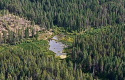 52xx Wagner Rd, Springdale, WA 99173