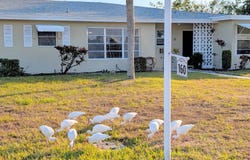 160 High Point Terrace E, Delray Beach, FL 33445