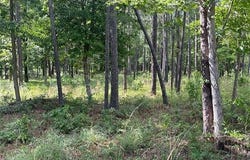 255 Master Blvd, Brookeland, TX 75931