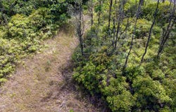 15-1899 31ST AVE, Keaau, HI 96749